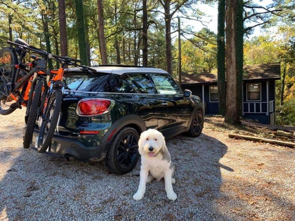 Loblolly Pines Adventure Cabin 2 King Eureka Springs Eksteriør bilde